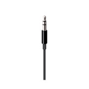 Apple Lightning to 3.5 mm Audio Cable 1.2m Black
